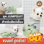 Cheapest! Ready to send a green jumpsuit for pets Pet travel sets price 169.- from normal 219.-