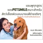 Petsmile Cat Shampoo & Conditioner 550ml ShortHair แชมพูแมวขนสั้น