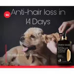 Petsmile Premium Organic Anti-Hair loss Herbal Shampoo For Dog 500ml แชมพูสมุนไพรพรีเมี่ยมแก้ขนร่วงสุนัข
