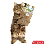 Petsmile Natural Healing Ear Wash for Cat 100ml  น้ำยาเช็ดหูสำหรับแมว