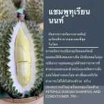 Petsmile King of Durain Shampoo for Dog 500ml แชมพูทุเรียนผสมคอนดิชันเนอร์ สำหรับสุนัข