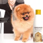 Petsmile Pomeranian Expert Shampoo and Conditioner 280ml แชมพูปอม ผสมคอนดิชันเนอร์