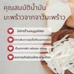 Petsmile Premium Organic Anti-itch Shampoo for Cat 500 ml แชมพูแก้คัน ผิวแห้งขนหยาบขนพันสังกะตัง แมว