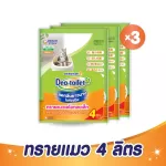 DOOTY Late Sand Sand Sand 4 liters x 3 Pack