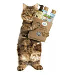 เพ็ทสไมล์ น้ำยาเช็ดหูสำหรับแมว ขนาด 100 ml x 1 ขวด PETSMILE EAR WASH FOR CAT 100 ml x 1 bottle