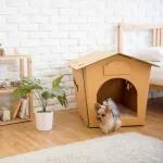 KAFBO Eco Pet House no Bed Pad แถมฟรี! สติ๊กเกอร์ลายแมวและสุนัข