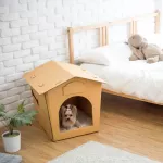 KAFBO Eco Pet House with BEIGE BED PAD  แถมฟรี! สติ๊กเกอร์ลายแมวและสุนัข
