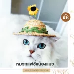 ถูกสุด! พร้อมส่งหมวกแฟชั่นน้องแมวน้องแมว ดอกไม้เหลือง