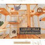 Luxury Villa Villa for cats made of real wood, strong, durable, pre-order