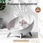 Cheapest! Ready to deliver cats Mattress Space mattress, cat design, beautiful design 699.- from normal price 999.-