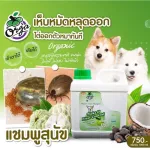 1000ml dog punch shampoo for 750 baht