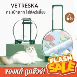 The cheapest genuine! Ready to send Vetreska, cat bag, clear cat bag, large drag