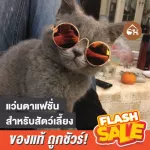 Cheapest! Ready to send glasses fashion glasses for pets