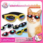 Pet glasses Dog sunglasses Eye protection device with chin straps