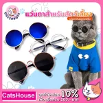 Cat glasses, cats, glasses, clear lenses, pets, pets, glasses, dog glasses, pets, pets Pet glasses