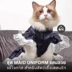 ชุด maid uniform แสนสวย ขยี้ใจทาส สำหรับสัตว์เลี้ยงแสนรัก