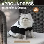 ชุด maid uniform น่ารักๆ สำหรับสัตว์เลี้ยงแสนรัก