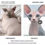 monze GENTLE ERA CLEANING น้ำยาล้างทำความสะอาดหูสำหรับแมวพันธุ์สฟิงซ์