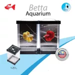 Betta Aquarium โหลปลากัด ตู้ปลากัด พลาสติก สามารถต่อกันได้ ขนาด 10x10x15 cm