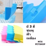 The grass rails next to the rabbit cage, Gatsby, Priry Dog