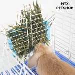 The grass rails next to the rabbit cage, Gatsby, Priry Dog