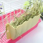 The grass rails next to the rabbit cage, Gatsby, Priry Dog