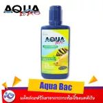 ผลิตภัณฑ์รักษาโรคปลา Aqua Bac 100 ml.