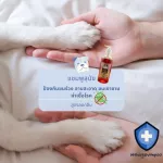 แชมพูสุนัข สูตรลดกลิ่น ใช้ได้กับสุนัขทุกสายพันธุ์ 500ml