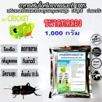 1,000 grams of Cricket Cricket Cricket Dietary Supplements and small animals from total minerals and 100% pure pure ore