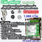 CalMinerแคลมินเนอร์1,000กรัมอาหารเสริมชูการ์ไกเดอร์แคลเซียมและแร่ธาตุรวมบริสุทธิ์ธรรมชาติ100%เข้มข้นเกรดพิเศษ