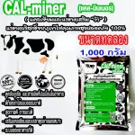 CalMinerแคลมินเนอร์1,000กรัมอาหารเสริมวัวแคลเซียมและแร่ธาตุรวมบริสุทธิ์จากธรรมชาติ100%เข้มข้นเกรดพิเศษสำหรับวัว