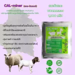Calminer Cal-Miner1000 grams, goat supplements Calcium and minerals enhances pure natural goats Special grade concentration formula