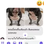 ชุดหยุดอการขี้เรื้อน ผิวหนังอักเสบ เชื้อรา แบคทีเรีย แชมพู 150mlสเปรย์ 70 ml