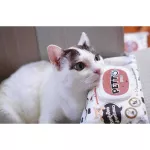 ทิชชู่เปียกสำหรับสัตว์เลี้ยงกระดาษทิชชู่เปียก KUMA PETTO  สำหรับแมว  1ห่อ