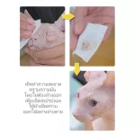 พร้อมส่ง MONZE​ SPHYNK​ CARE PET CLEANING CARE สเปรย์​ขจัดคราบ​ความมัน​ โดยไม่ต้องล้างออก สำหรับแมว​พันธุ์​ SPHYNK