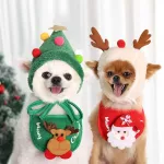 Christmas set for dogs
