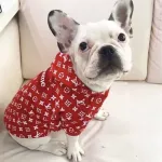 LV Red for the younger dog
