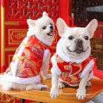 Chinese New Year shirt for the dog