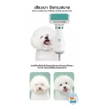 รุ่นใหม่2021 ไดร์เป่าขน สุนัข แมว 2-in-1ลมแรงกว่าเดิม ขนแห้งไว ไม่เปลืองแรง สินค้าคุณภาพ ทนทาน ปรับความร้อนได้