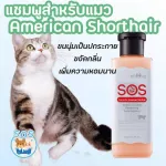 Cat shower shampoo for American Shorthair. Gentle cat shampoo for a long time.
