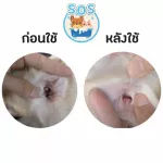 โลชั่นล้างหู สุนัขและแมว  ป้องกันไรหู เชื้อรา ยัสต์ ดับกลิ่นเหม็น เพิ่มกลิ่นหอม แก้ปัญหาเชื้อรา ยีสต์ในหู