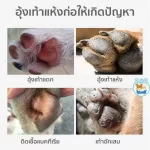 BIOLINE บาล์มสำหรับปกป้องอุ้งเท้าสุนัขและแมว ก่อนออกจากบ้าน คืนความชุ่มชื้น แก่ อุ้งเท้า สุนัข แมว