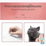 กล่องใหญ่ 40 ชิ้น สำลีก้าน เช็ดหู Kojima พร้อมน้ำยาในตัว ทำความสะอาดง่าย เช็ดหูสุนัข เช็ดหูแมว สะดวก ปลอดภัย