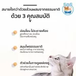 โลชั่นล้างหู สุนัขและแมว  ป้องกันไรหู เชื้อรา ยัสต์ ดับกลิ่นเหม็น เพิ่มกลิ่นหอม แก้ปัญหาเชื้อรา ยีสต์ในหู