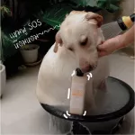 รุ่นใหม่  แชมพูอาบน้ำ pH7 อ่อนโยน  แชมพูสุนัข แชมพูแมว Enoug ขวดใหญ่ อ่อนโยน รักษาโรคผิวหนัง เหมาะสำหรับผิวแพ้ง่าย