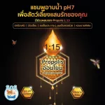 รุ่นใหม่  แชมพูอาบน้ำ pH7 อ่อนโยน  แชมพูสุนัข แชมพูแมว Enoug ขวดใหญ่ อ่อนโยน รักษาโรคผิวหนัง เหมาะสำหรับผิวแพ้ง่าย