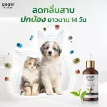 Gager Server Silver Server Deodorize dogs and cats Prevent ticks, mosquitoes, insects, and bacteria, Nano Silver Serum, size 30 ml.