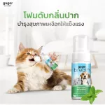 Gager แพ็คคู่ โฟมดับกลิ่นปาก+โลชั่นเช็ดหู น้ำยาเช็ดหูแมว/หมา สำหรับสุนัขและแมว ออแกนิค สกัดจากธรรมชาติ ขนาด 50ml.