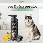 Gager แชมพูอาบน้ำสุนัข ลดขนร่วง อ่อนโยน สูตรDetox สกัดจากถ่านชาโคล สำหรับทุกพันธ์และทุกวัย แชมพูหมา Dog Shampoo 250ml.