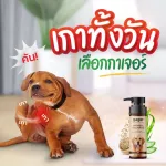 Gager500ml.แชมพูสุนัข สูตรโอ๊ตมีล OATMEAL ช่วยบรรเทาอาการคันและกำจัดรังแค อ่อนโยน เกรดพรีเมี่ยม แชมพูหมา Dog Shampoo